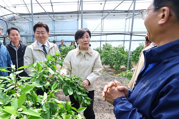 송미령 장관, 감귤 재배농가와 남원농협 농산물산지유통센터(APC) 방문 THUMBNAIL
