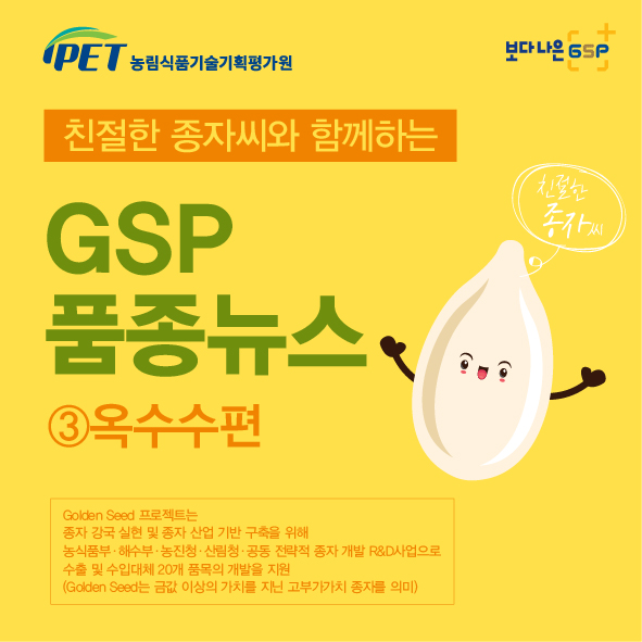 친절한 종자씨와 함께하는 GSP 품종뉴스 - 옥수수편 카드뉴스_옥수수편_2차-01.jpg