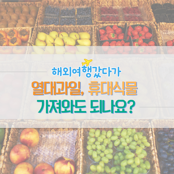 [카드뉴스] 해외여행갔다가, 열대과일, 휴대식물 가져와도 되나요? 1-1.png