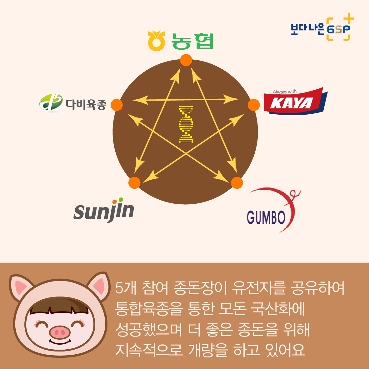 친절한 종자씨와 함께하는 GSP 품종뉴스 - 종돈편 카드뉴스_종돈편-05.jpg