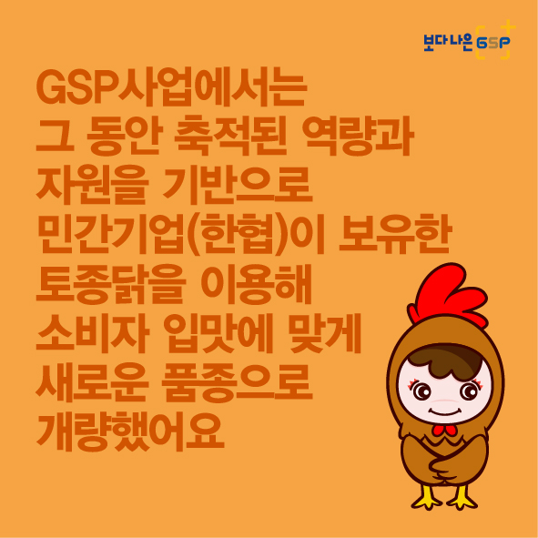 GSP 품종뉴스 - 종계편 8월_토종닭편-04.jpg
