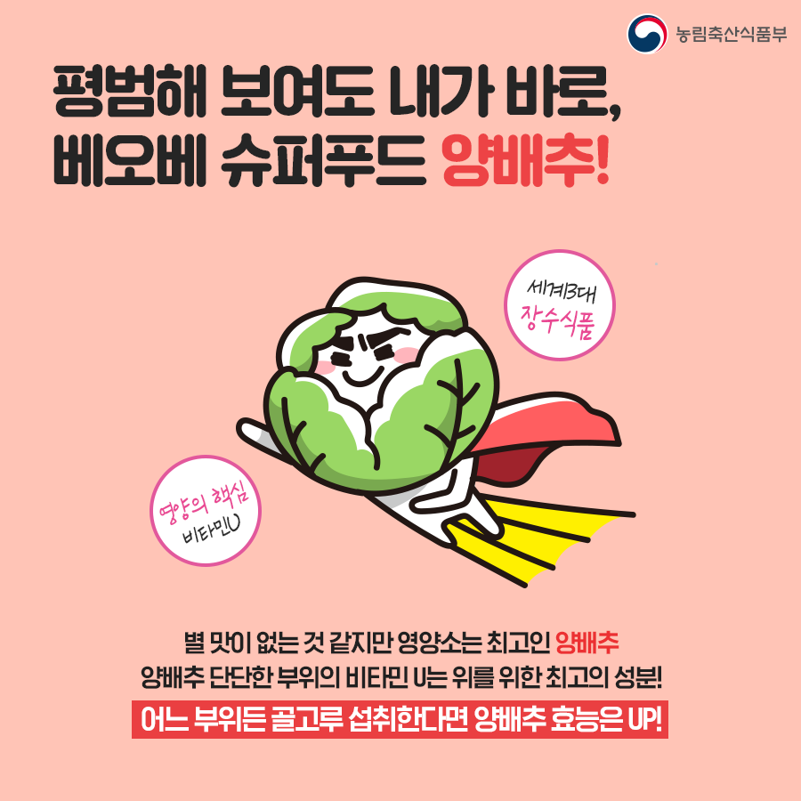 우리채소로 시작해요. 봄, 건강해결사 5.png