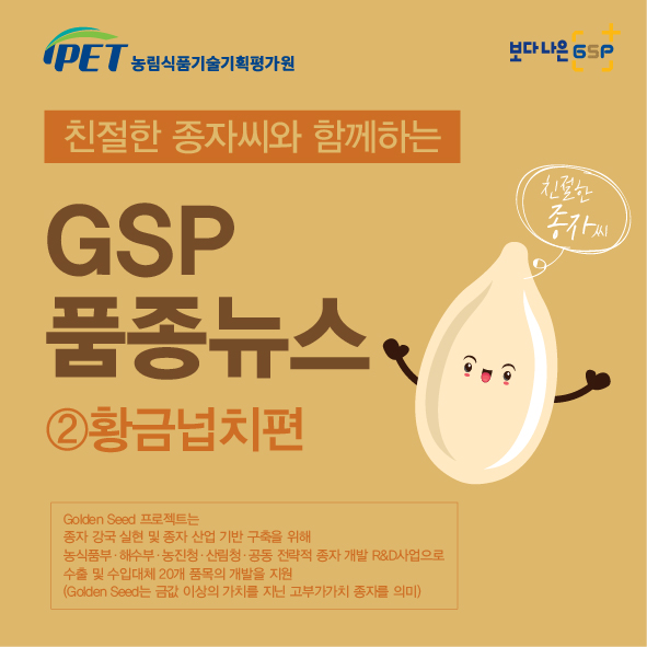 친절한 종자씨와 함께하는 GSP 품종뉴스 - 황금넙치편 카드뉴스_항금넙치편(넙치수정)0607-01.jpg
