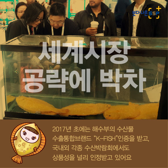 친절한 종자씨와 함께하는 GSP 품종뉴스 - 황금넙치편 카드뉴스_항금넙치편(넙치수정)0607-06.jpg