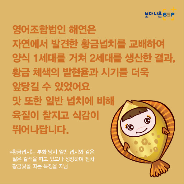 친절한 종자씨와 함께하는 GSP 품종뉴스 - 황금넙치편 카드뉴스_항금넙치편(넙치수정)0607-05.jpg