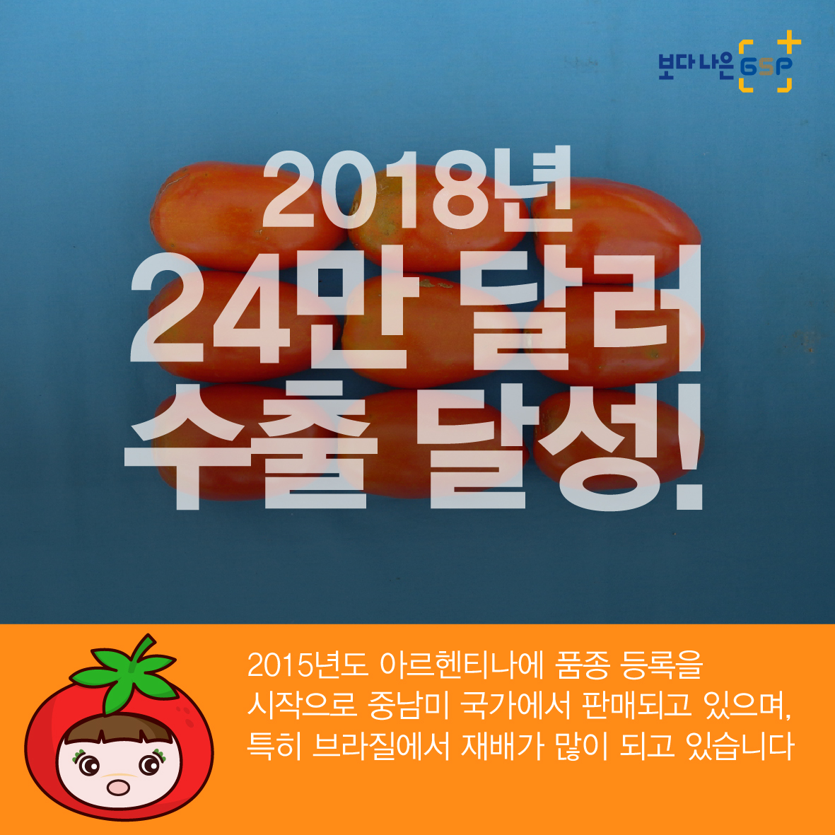 친절한 종자씨가 알려주는 GSP 품종뉴스 - 토마토편 4월_토마토편_05.jpg