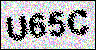 자동 가입 방지 CAPTCHA