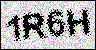 자동 가입 방지 CAPTCHA