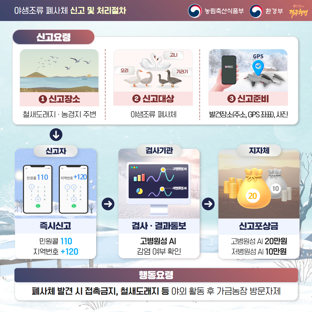 야생조류 폐사체 신고 및 처리절차 신고요령 1신고장소 철새도래지 농경지 주변 2신고대상 야생조류 폐사체 3신고준비 발견장소(주소,GPS 좌표),사진 신고자 즉시신고 민원콜 110 지역번호 +120  검사기관 검사 결과통보 고병원성 AI 감염 여부 확인  지자체 신고포상금 고병원성 AI 20만원 저병원성 AI 10만원 행동요령 폐사체 발견 시 접촉금지, 철새도래지 등 야외 활동 후 가금농장 방문자제