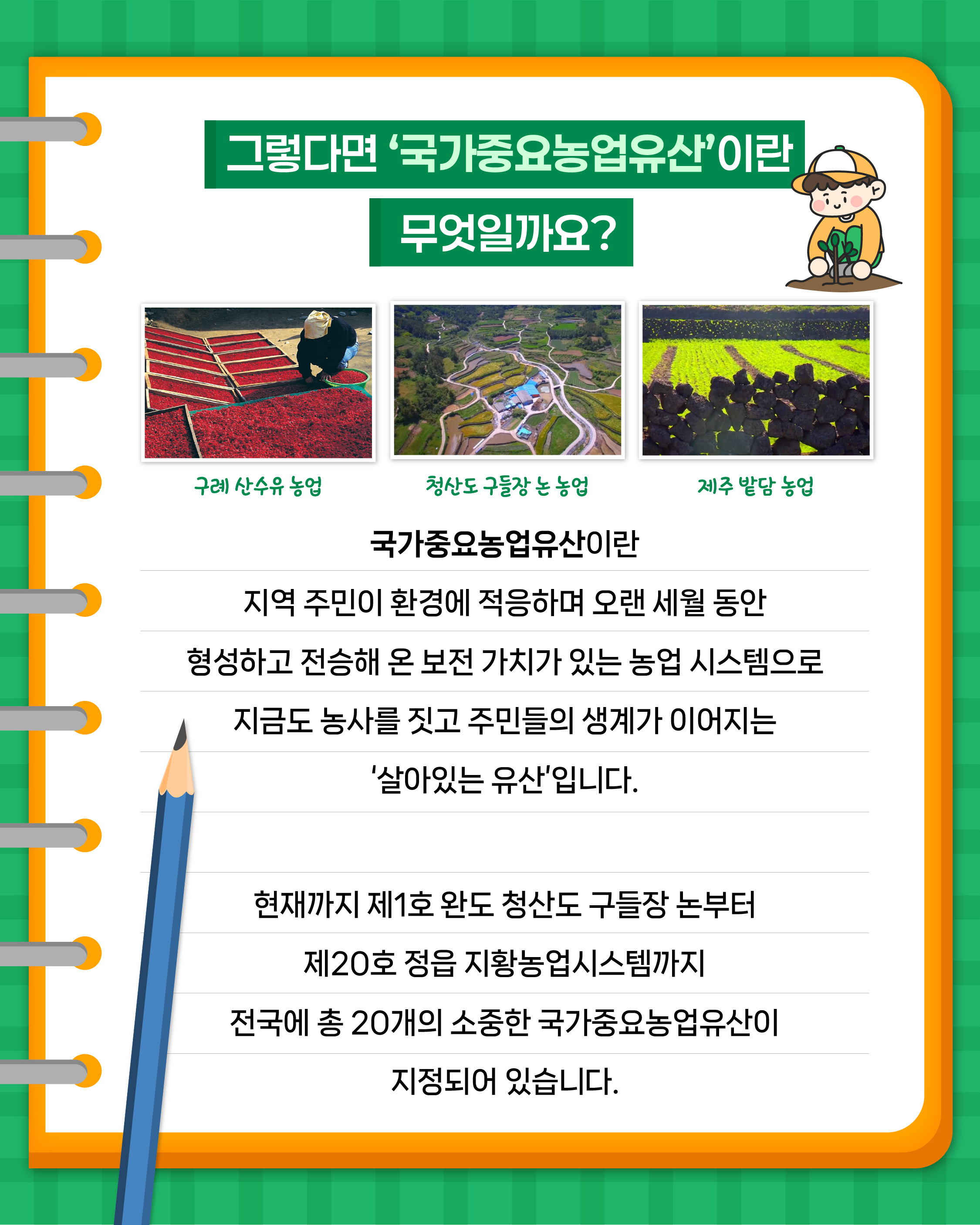 그렇다면 '국가중요농업유산'이란 무엇일까요?  -구례 산수유 농업 -청산도 구들장 논 농업 -제주 밭담 농업  국가중요농업유산이란 지역 주민이 환경에 적응하며 오랜 세월 동안 형성하고 전승해 온 보전 가치가 있는 농업 시스템으로 지금도 농사를 짓고 주민들의 생계가 이어지는 '살아있는 유산'입니다.  현재까지 제1호 완도 청산도 구들장 논부터 제20호 정읍 지황농업시스템까지 전국에 총 20개의 소중한 국가중요농업유산이 지정되어 있습니다.