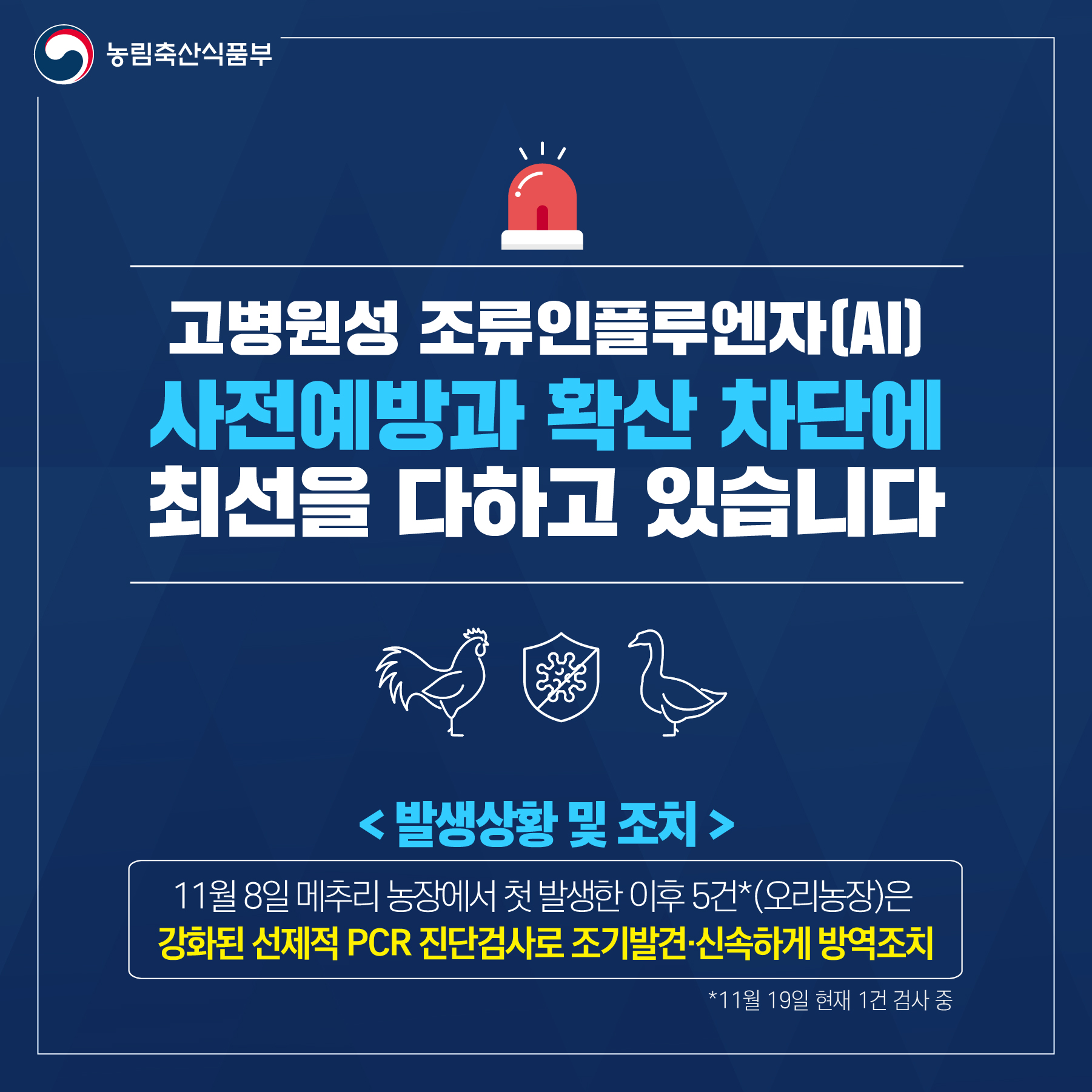 고병원성 조류인플루엔자(AI) 사전예방과  확산 차단에 최선을 다하고 있습니다 1.jpg