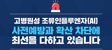 고병원성 조류인플루엔자(AI) 사전예방과  확산 차단에 최선을 다하고 있습니다 대표이미지