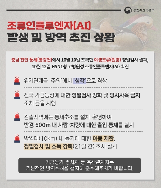 조류인플루엔자(AI) 발생 및 방역 추진 상황 대표이미지