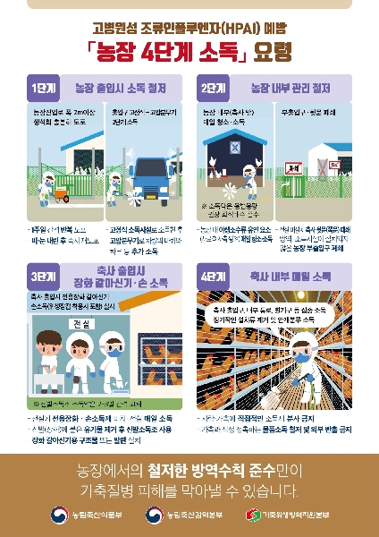 고병원성 조류인플루엔자 예방 농장 4단계 소독 요령 대표이미지