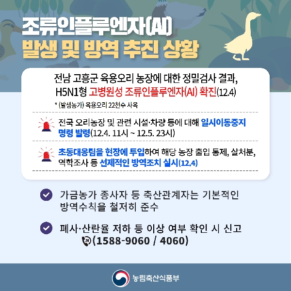 조류인플루엔자(AI) 발생 및 방역 추진 상황 대표이미지