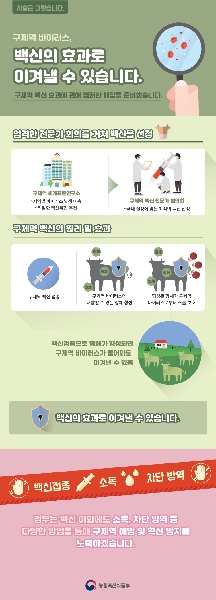 구제역 바이러스, 백신의 효과로 이겨낼 수 있습니다. 대표이미지