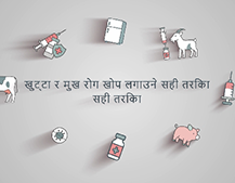 올바른 구제역백신 접종 요령(네팔어) | खुट्टा र मुख रोग खोप लगाउने सही तरिका 대표이미지
