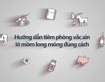 올바른 구제역백신 접종 요령(베트남어) | Hướng dẫn tiêm phòng vắc xin lở mồm long móng đúng cách 대표이미지