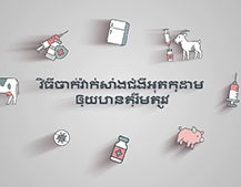 올바른 구제역백신 접종 요령(캄보디아어) | វិធីចាក់វ៉ាក់សាំងជំងឺអុតក្ដាមឲ្យបានត្រឹមត្រូវ 대표이미지