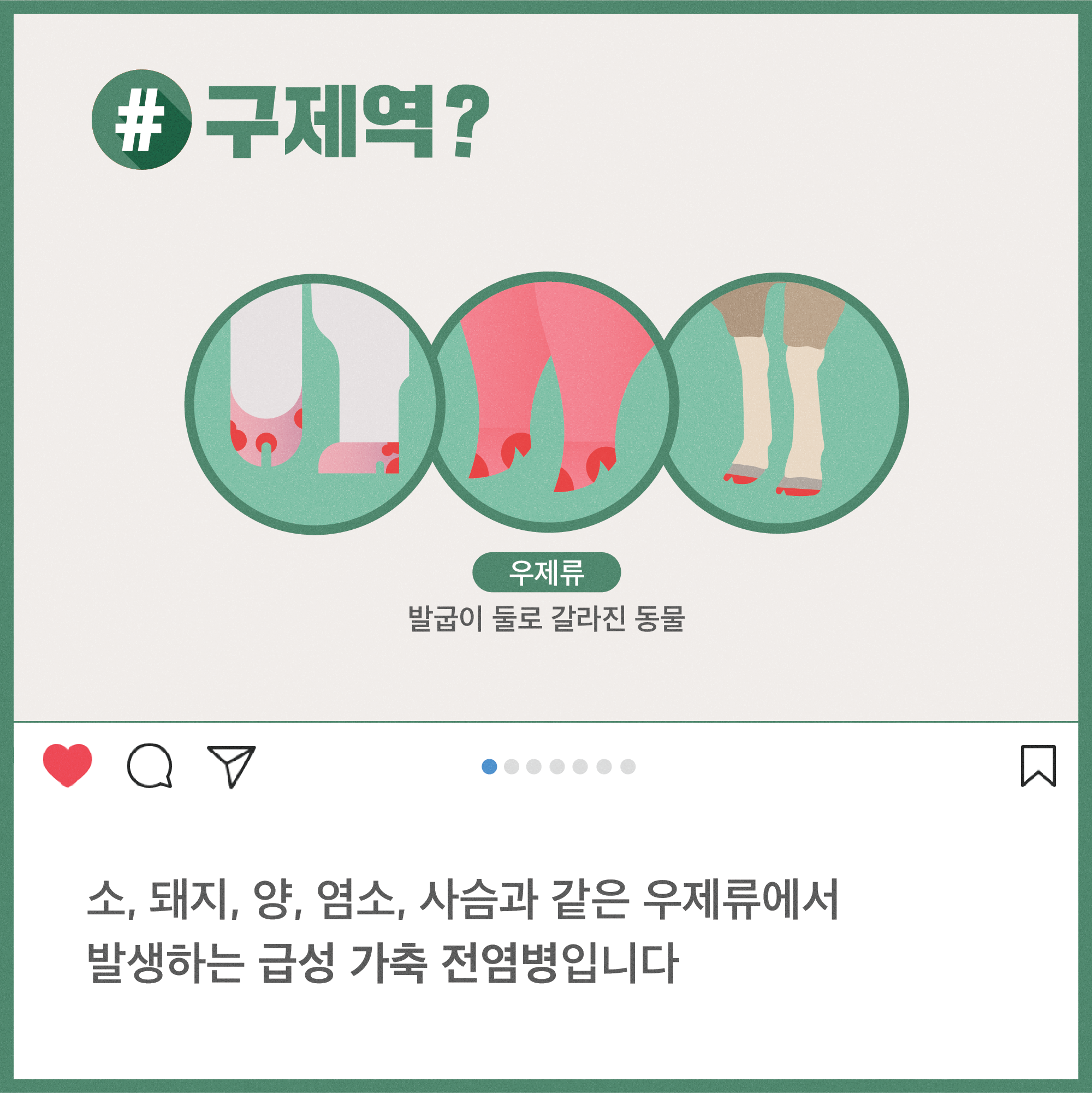 구제역 해시태그로 톺아보기 구제역_카드뉴스3-02.png