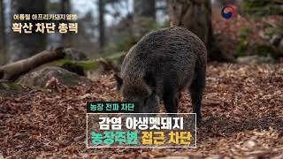 여름철 아프리카돼지열병 확산 차단을 위해 총력 대응합니다! 대표이미지