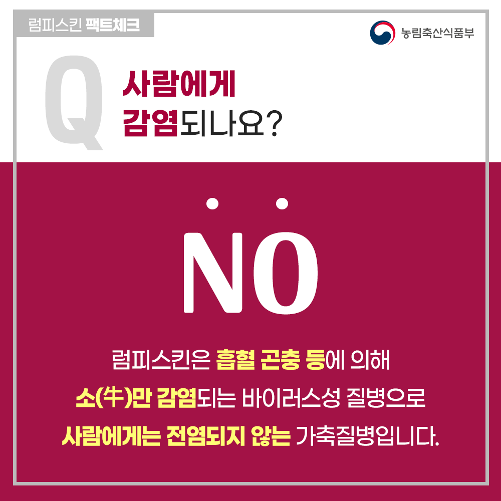 (국민 대상)소 럼피스킨 팩트체크!(11.13기준 수정) 02 내지.png