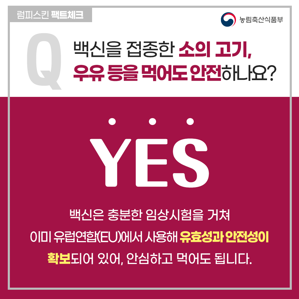 (국민 대상)소 럼피스킨 팩트체크!(11.13기준 수정) 04 내지.png