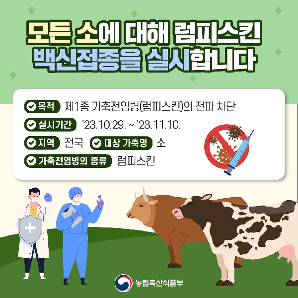 모든 소에 대해 럼피스킨 백신접종을 실시합니다 대표이미지