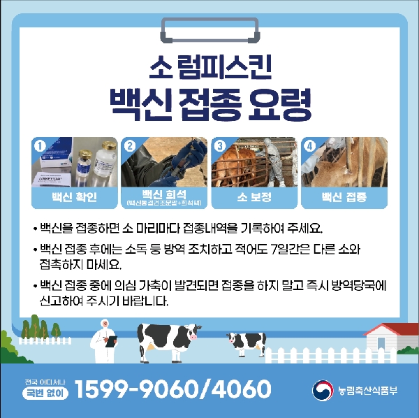 럼피스킨 백신 접종 요령 대표이미지