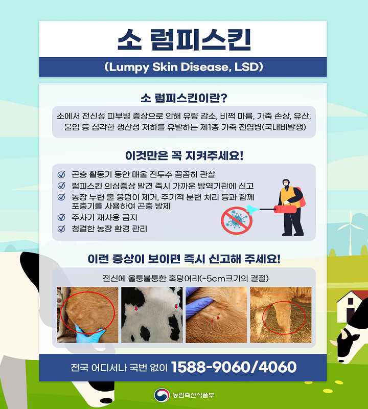 소 럼피스킨병 소 럼피스킨병이란?소에서 전신성 피부병 증상으로 인해 유량 감소, 비쩍 마름, 가죽 손상, 유산, 불임 등 심각한 생산성 저하를 유발하는 제1종 가축 전염병 이것만 꼭 지켜주세요! 곤충 활동기 동안 매일 전두수 꼼꼼히 관찰, 럼프스킨병 의심증상 별견 시 가까운 방역기관에 신고, 농장 주변 물 웅덩이 제거, 주기적 분변 처리 등과 함께 포충기를 사용하여 곤충 방제, 주사기 재사용 금지, 청결한 농장 환경 관리, 이런 증상이 보이면 즉시 신고해 주세요! 전신에 울퉁불퉁한 혹덩이리(-5cm크기의 결절) 전국 어디서나 국번 없이 1588-9060/4060