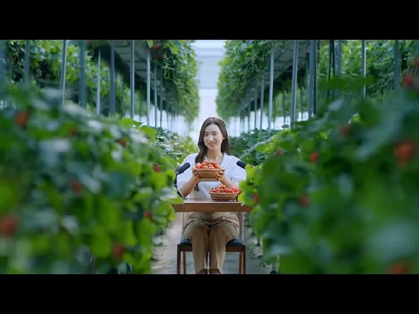 K-FOOD STRAWBERRY | The Taste of Wonder 'K-FOOD' | ASMR | KOREAN FOOD 대표이미지