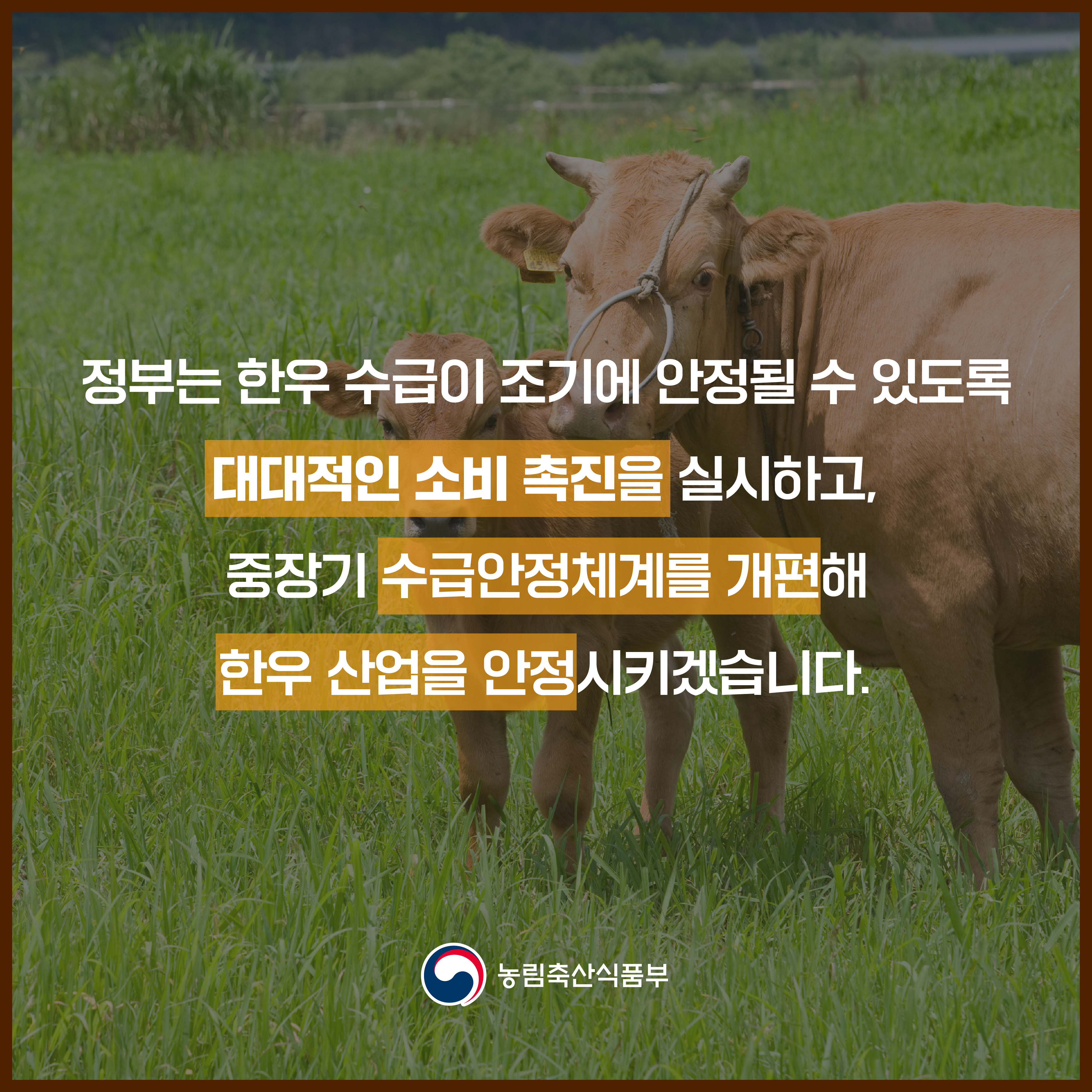 한우 수급안정 대책을 마련했습니다. 한우 수급 안정 대책-07.jpg