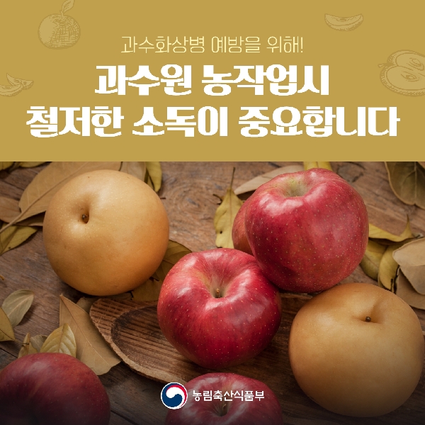 과수화상병 유입 차단을 위해! 작업자와 농자재의 철저한 소독이 중요합니다  대표이미지