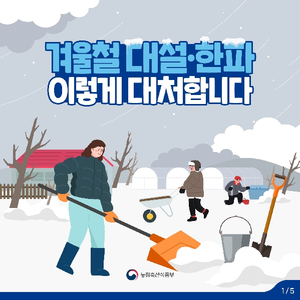 겨울철 대설·한파 이렇게 대처합니다. 대표이미지