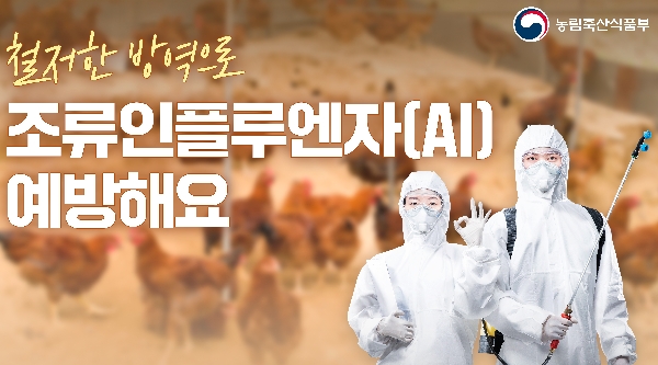 철저한 방역으로 조류인플루엔자(AI) 예방해요 대표이미지