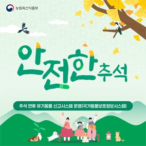 안전한 추석 대표이미지