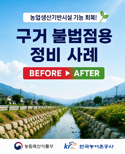 구거 불법점용 정비 사례 대표이미지