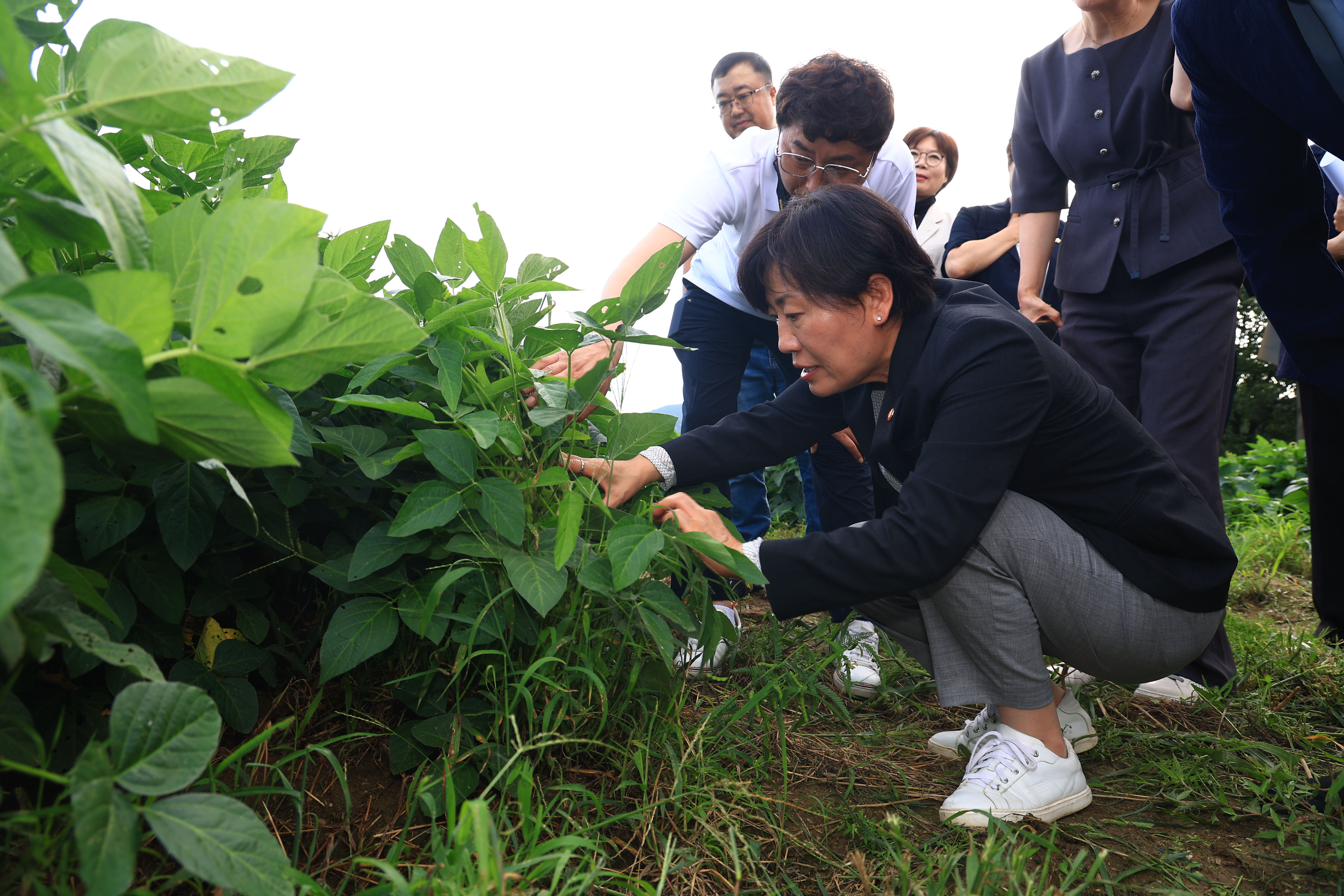 송미령 장관, 공동영농 우수 현장 방문