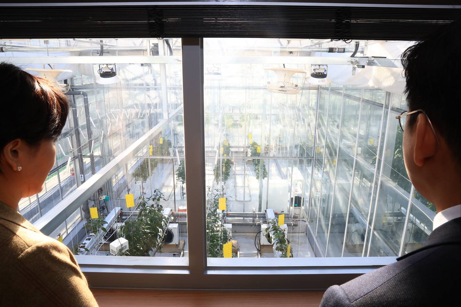 송미령 장관, 농식품부-과기정통부 합동 AI스마트농업 현장방문