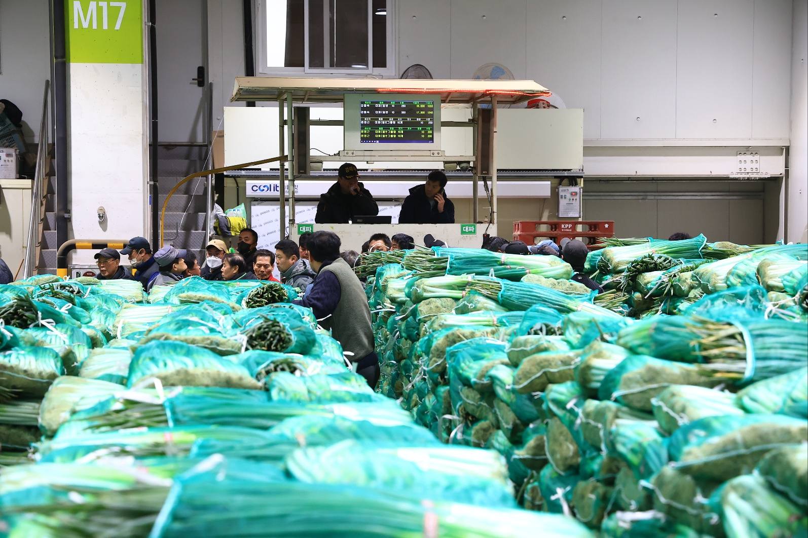 송미령 장관, 김장채소 수급상황 점검