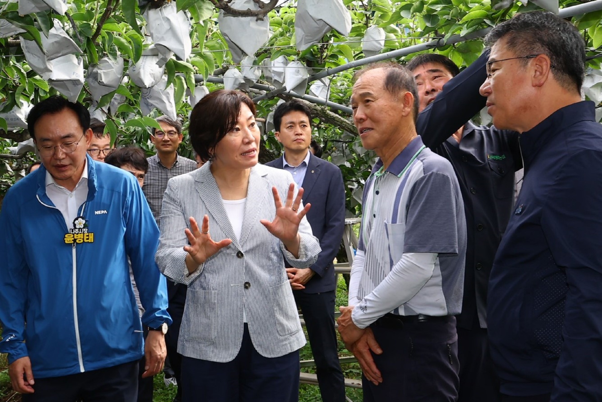 송미령 장관, 배 생육상황 및 재해대응 상황 점검