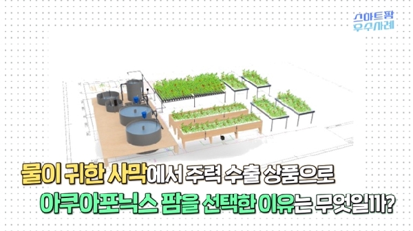 물이 귀한 사막에서 농작물이 쑥쑥 자란다!? | 스마트팜 우수사례 | UAE 순방성과 대표이미지