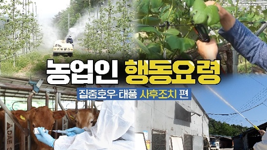 농업인 행동요령(집중호우·태풍 사후조치편) 대표이미지