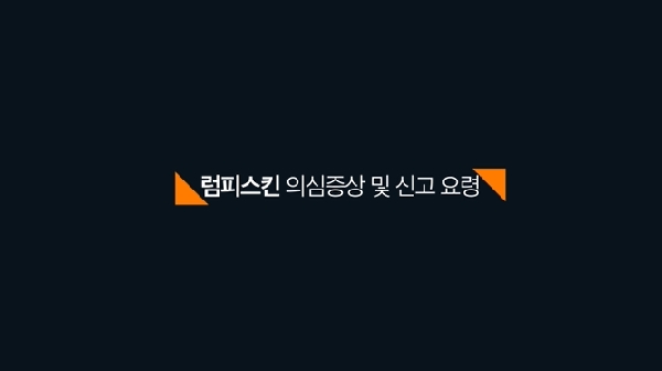 럼피스킨 의심증상 및 신고 요령을 알려드립니다! 새창이동