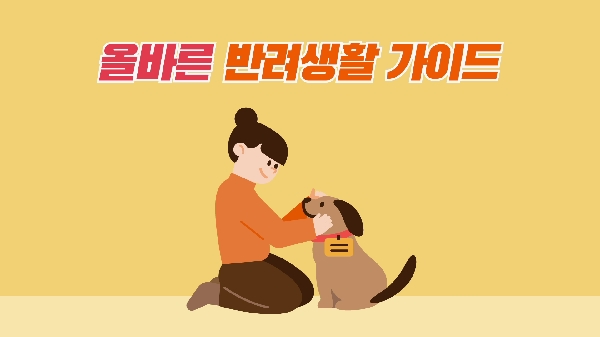 🐾모두의 행복을 지키는 첫 걸음, 올바른 반려생활 가이드