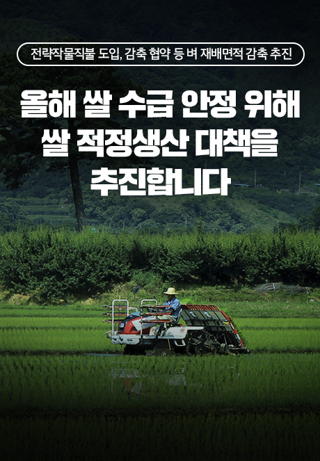 전략작물직불 도입, 감축 협약 등 벼 재배면적 감축 추진  올해 쌀 수급 안정 위해 쌀 적정생산 대책을 추진합니다