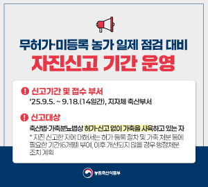 무허가·미등록 농가 일제 점검 대비 자진신고 기간 운영 ! 신고기간 및 접수 부서 '25.9.5.~9.18.(14일간), 지자체 축산부서 !신고대상 축산법·가축분뇨법상 허가·신고 없이 가축을 사육하고 있는 자 * 자진 신고한 자에 대해서는 허가·등록 절차 및 가축 처분 등에  필요한 기간(6개월) 부여, 이후 개선되지 않을 경우 행정처분 조치 계획