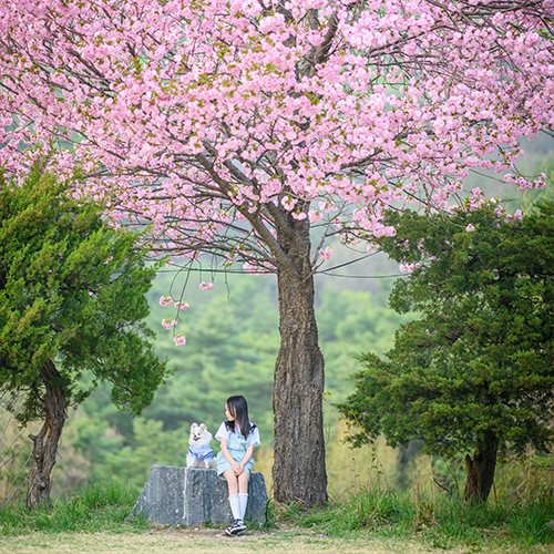 제19회 동물사랑 사진·영상 공모전 수상작 선정