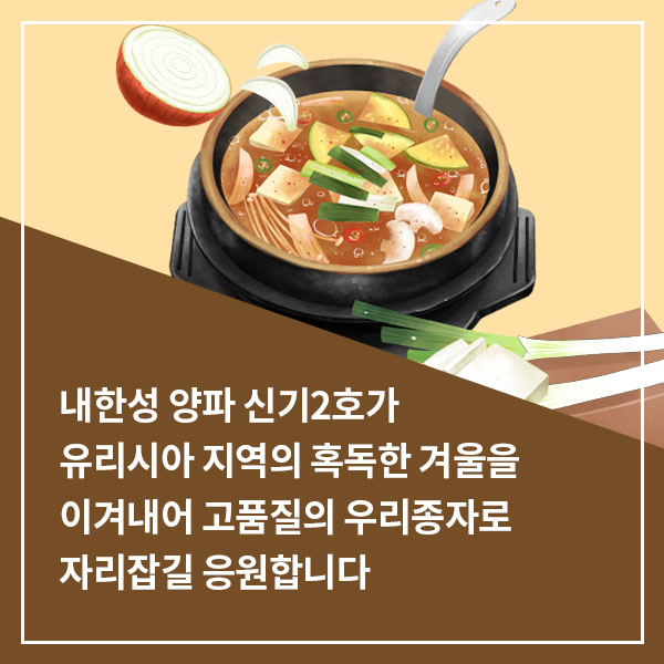 GSP 품종뉴스 - 내한성 양파 6.jpg