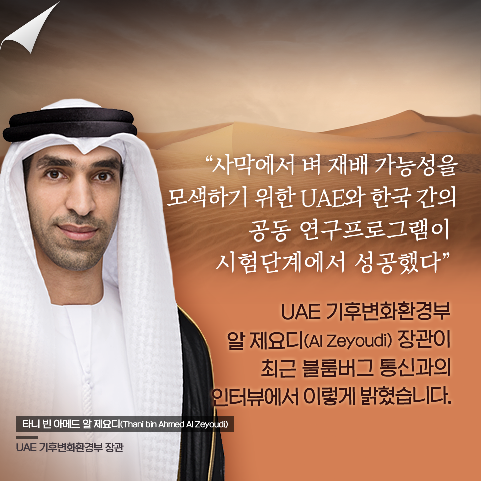 한-UAE 벼 재배 프로젝트 획기적인 성과 거두다 c0609-2.png